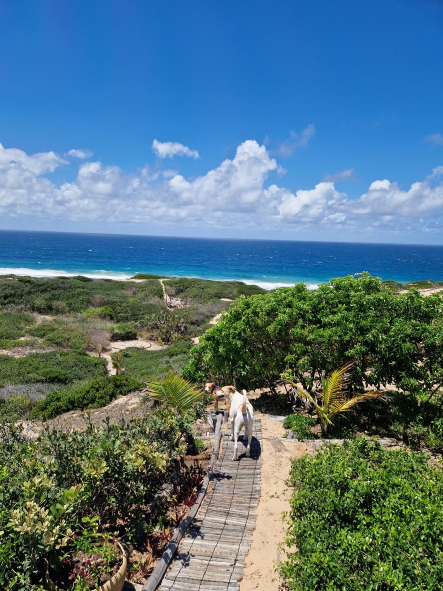 Mar-Me-Quer, Eco Beach Retreat Inhambane Extérieur photo