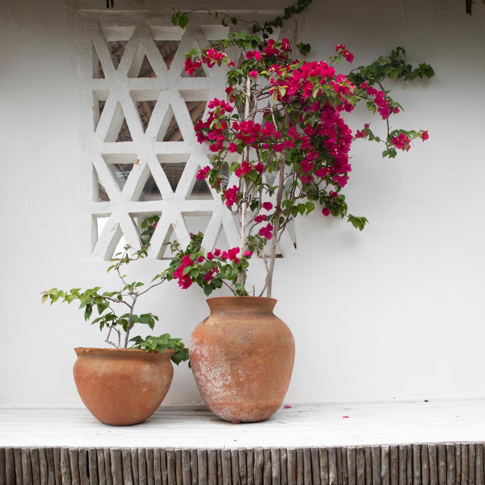 Mar-Me-Quer, Eco Beach Retreat Inhambane Extérieur photo